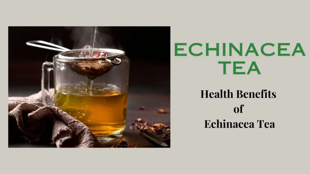 Echinacea Tea: top 8 Health Benefits of Echinacea Tea
