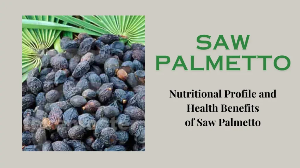 Health Benefits of Saw Palmetto: Its Nutritional Composition, Uses