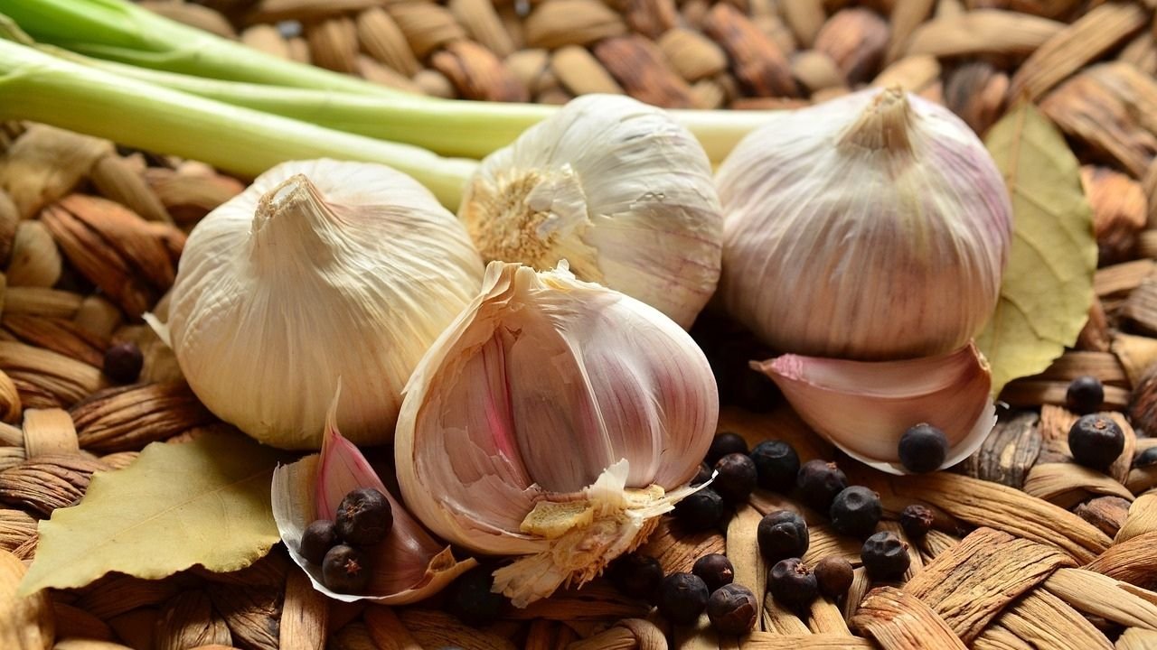 Garlic: Nutritional Value and Health Benefits