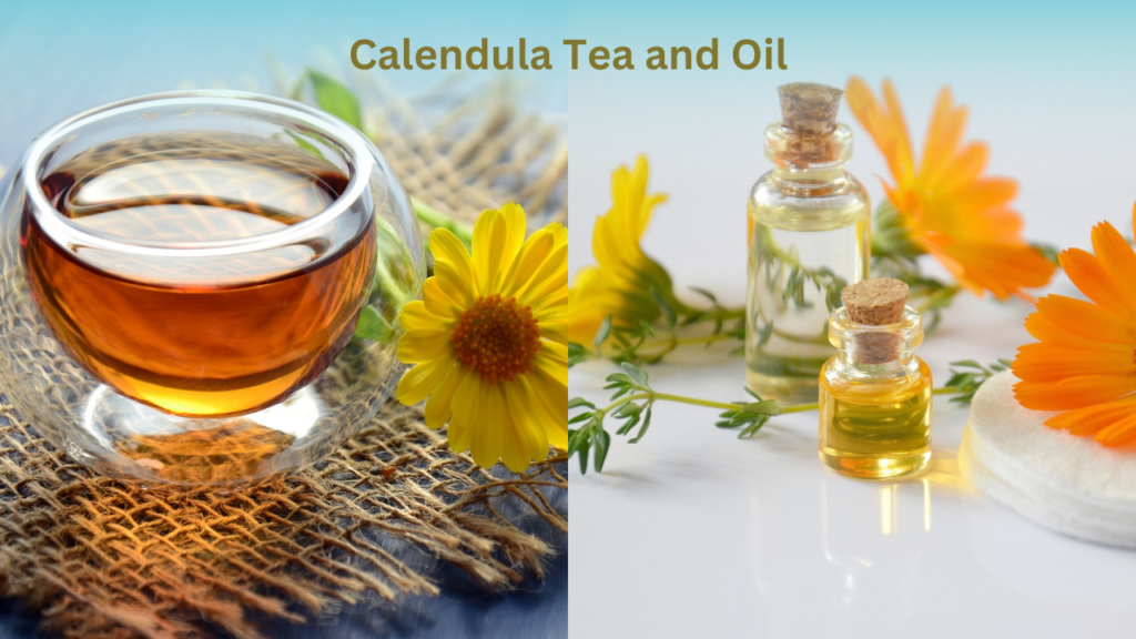 Calendula Properties Medicinal Benefits And Side Effects The