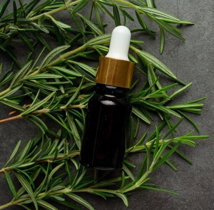 Rosemary Oil: Health benefits and Culinary Uses