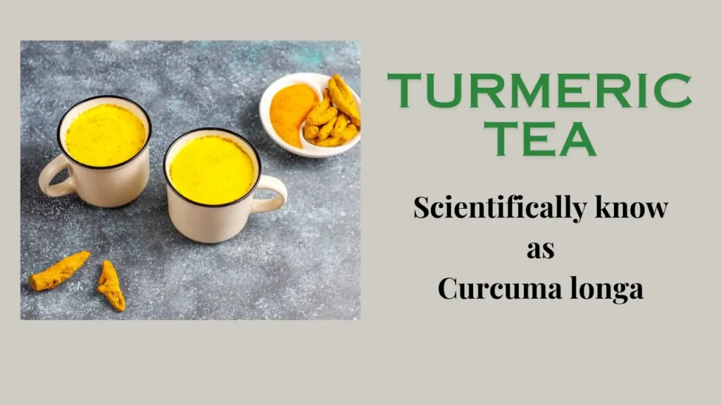 Turmeric tea: Health Benefits and Preparation