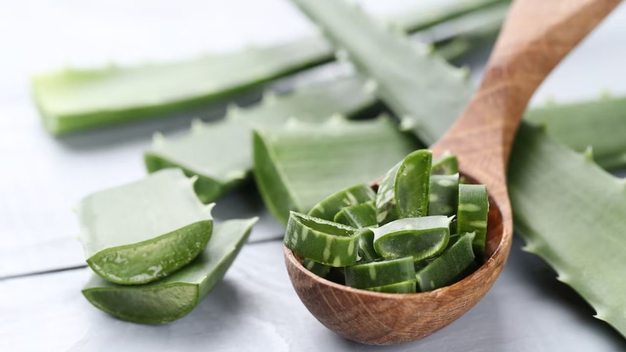 Benefits of Aloe Vera: Nature’s Healing Plant
