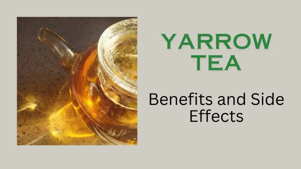 Yarrow tea benefits and side Effects