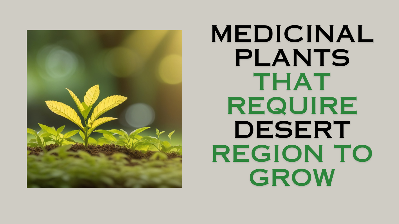 Medicinal plants that require desert region to grow
