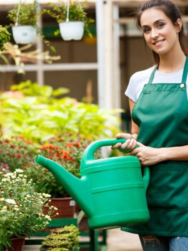 How to choose the right herbal plant to grow in your garden