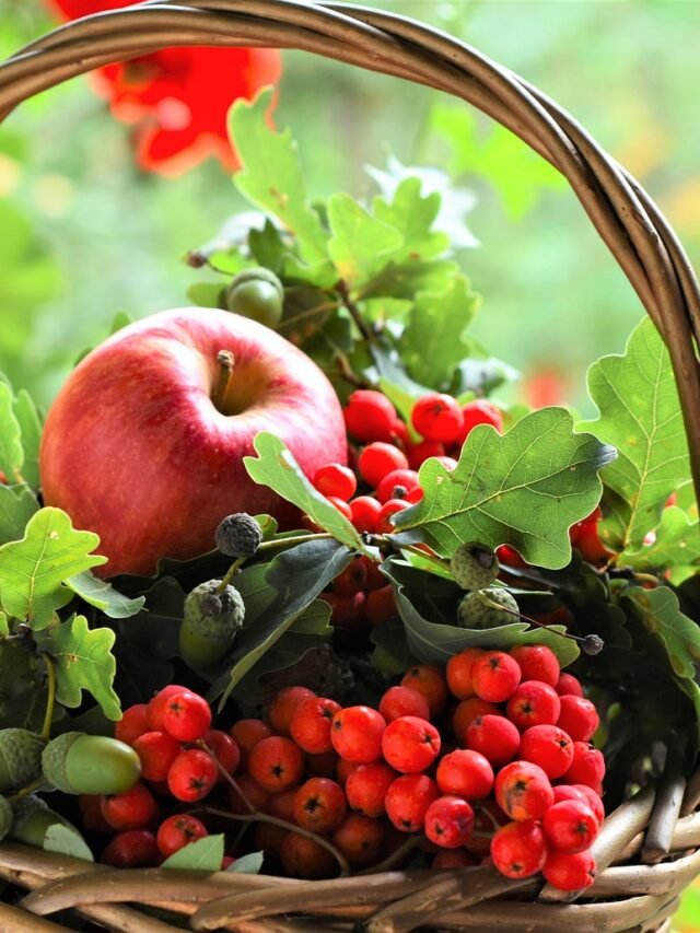 fruits-5552239_1280
