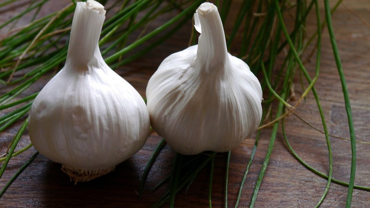 How to grow garlic at home step-to-step guide